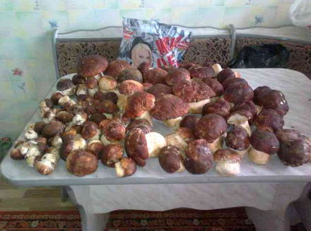 http://upforme.ru/uploads/001a/9f/a0/7/580804.jpg