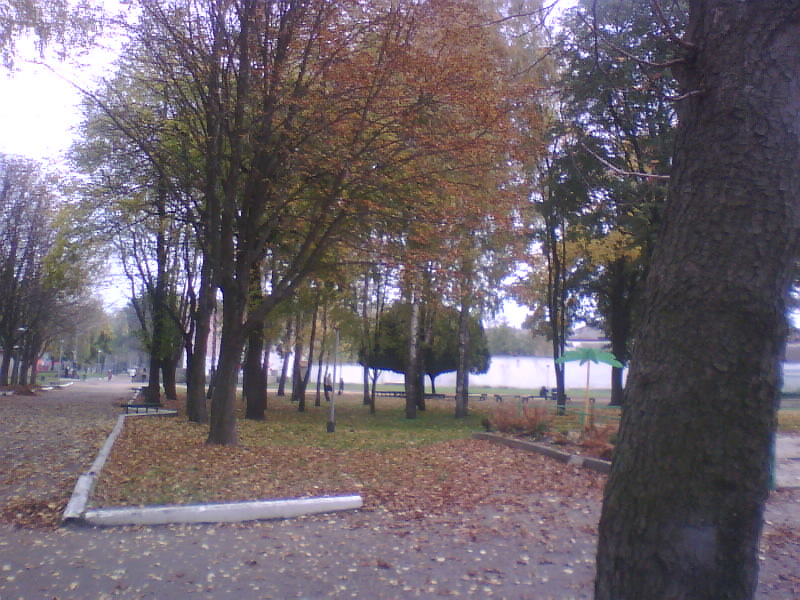 http://upforme.ru/uploads/001a/9f/a0/7/58724.jpg