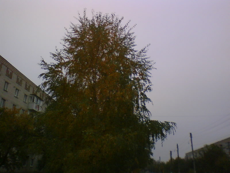 http://upforme.ru/uploads/001a/9f/a0/7/653571.jpg