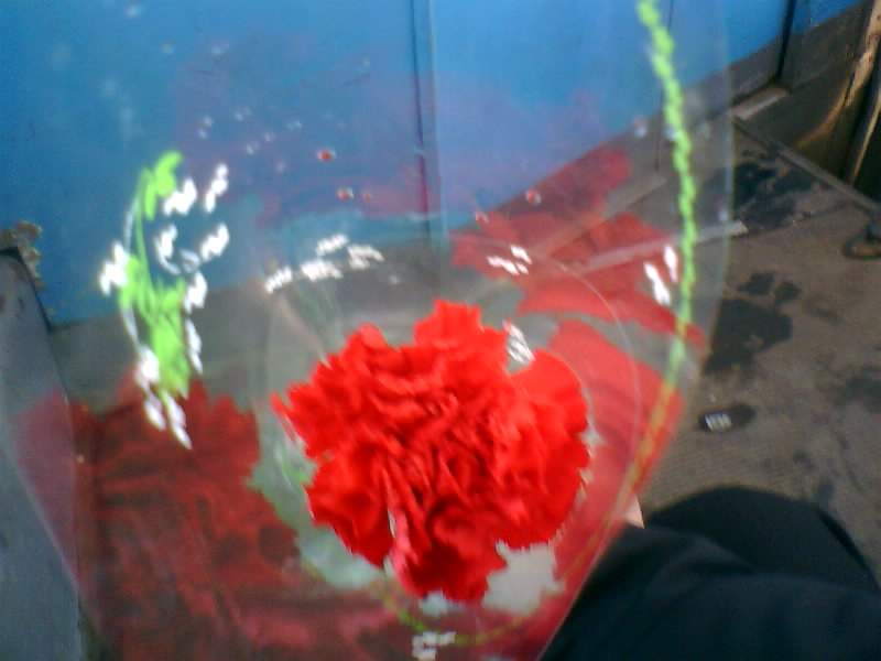 http://upforme.ru/uploads/001a/9f/a0/7/68651.jpg