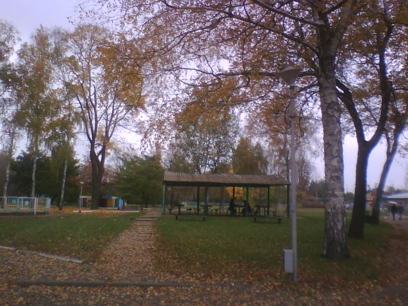 http://upforme.ru/uploads/001a/9f/a0/7/694208.jpg