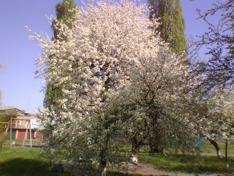 http://upforme.ru/uploads/001a/9f/a0/7/751001.jpg