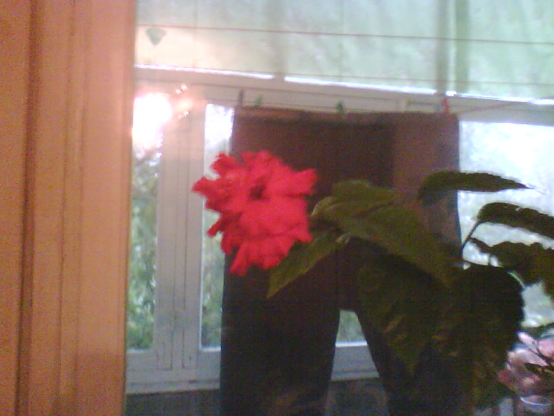 http://upforme.ru/uploads/001a/9f/a0/7/756955.jpg