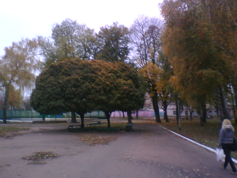 http://upforme.ru/uploads/001a/9f/a0/7/813478.jpg