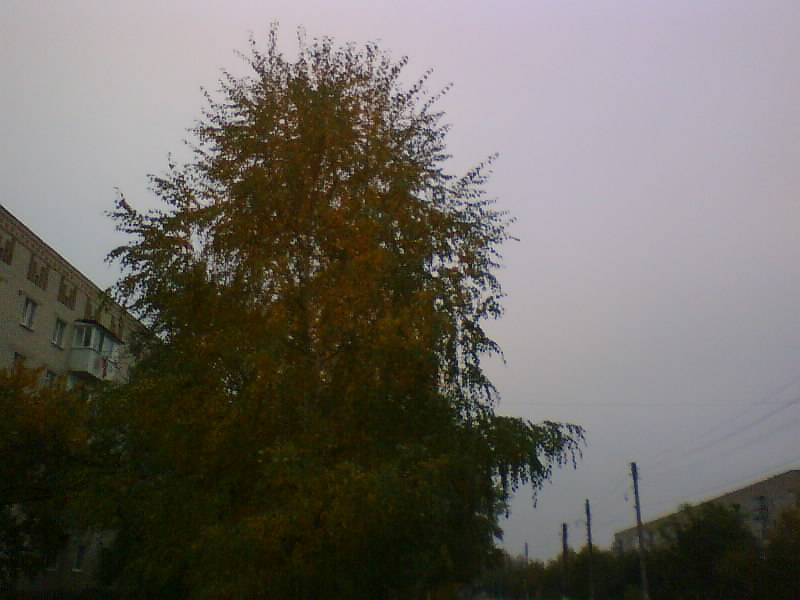 http://upforme.ru/uploads/001a/9f/a0/7/827010.jpg