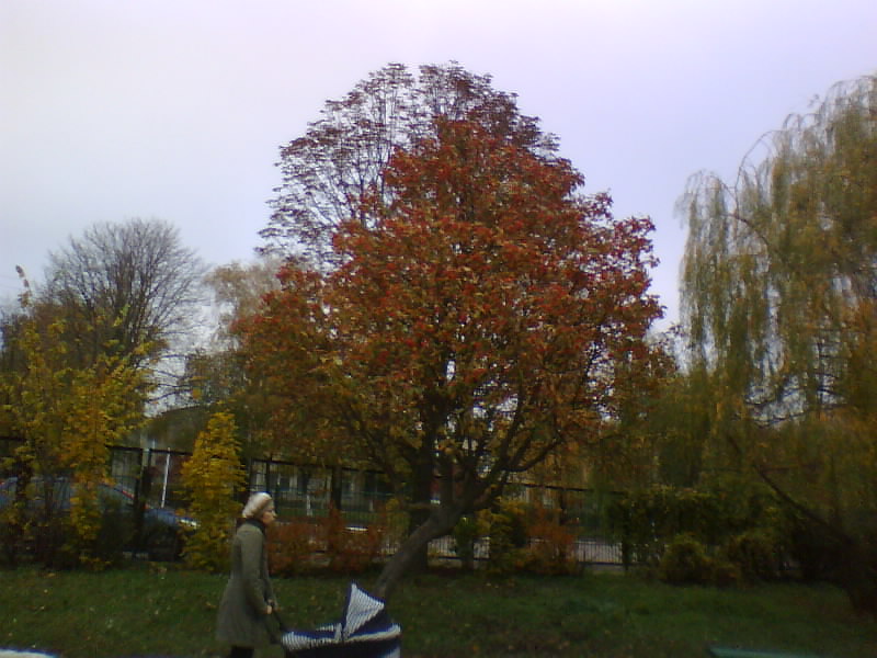 http://upforme.ru/uploads/001a/9f/a0/7/848100.jpg