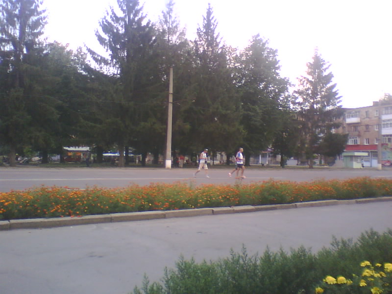 http://upforme.ru/uploads/001a/9f/a0/7/885231.jpg
