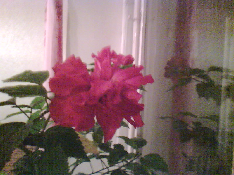 http://upforme.ru/uploads/001a/9f/a0/7/890382.jpg