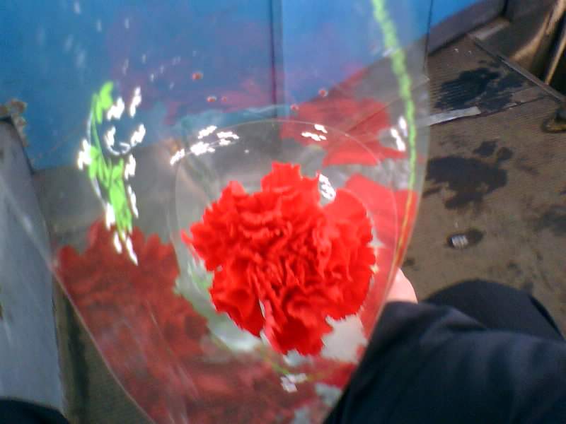 http://upforme.ru/uploads/001a/9f/a0/7/901216.jpg