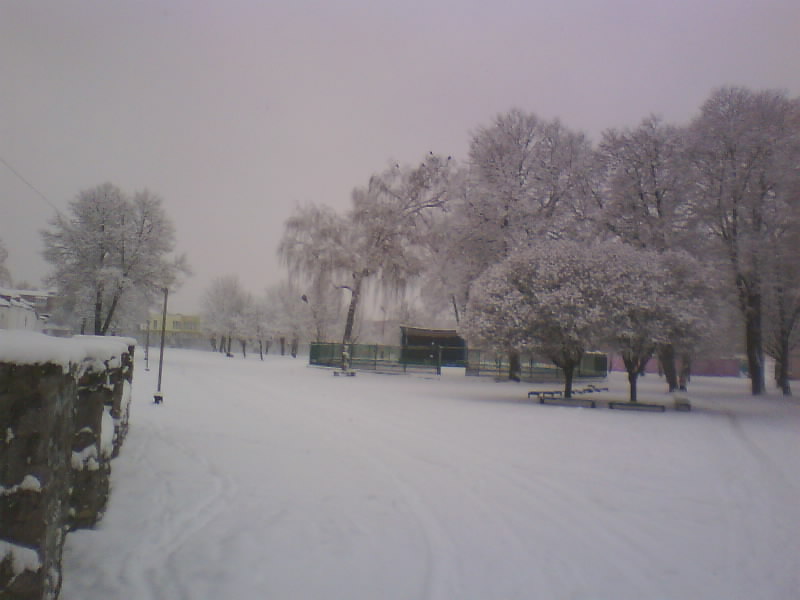 http://upforme.ru/uploads/001a/9f/a0/7/907244.jpg