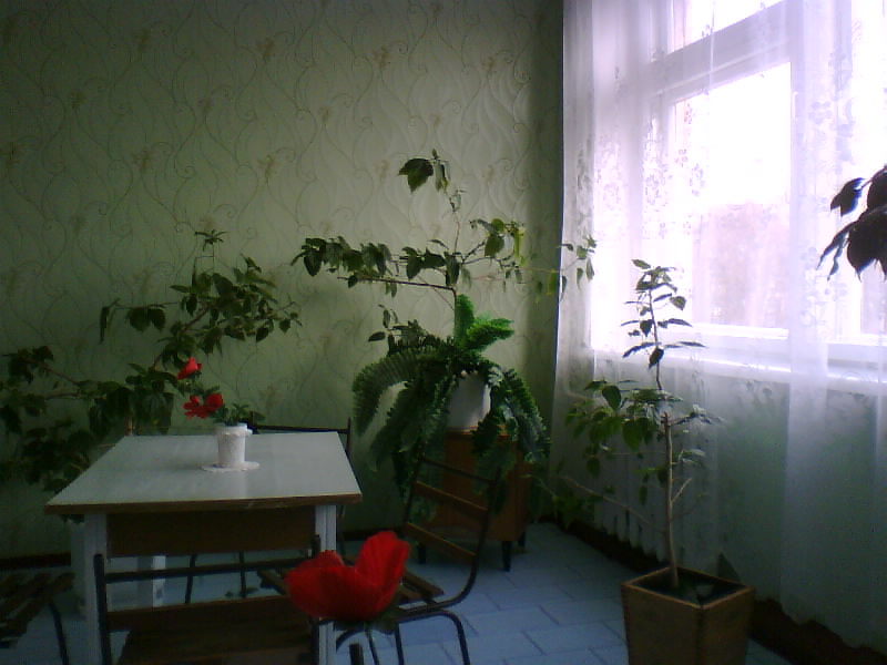 http://upforme.ru/uploads/001a/9f/a0/7/915658.jpg