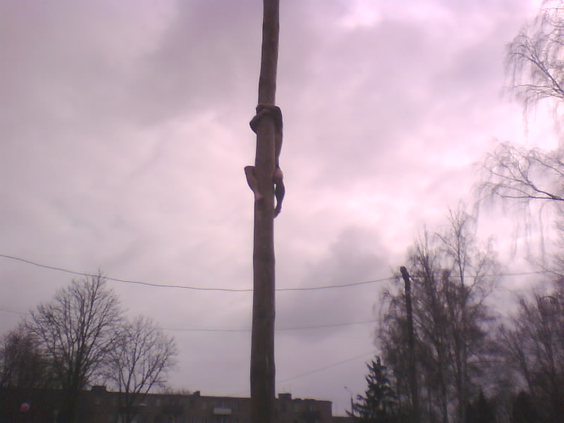 http://upforme.ru/uploads/001a/9f/a0/7/922963.jpg