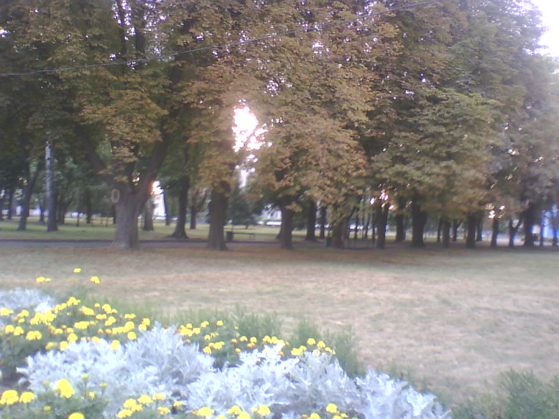 http://upforme.ru/uploads/001a/9f/a0/7/946662.jpg
