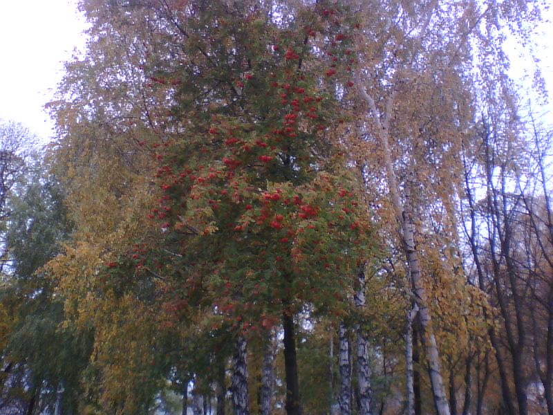http://upforme.ru/uploads/001a/9f/a0/7/96508.jpg