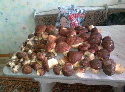 http://upforme.ru/uploads/001a/9f/a0/7/969168.jpg