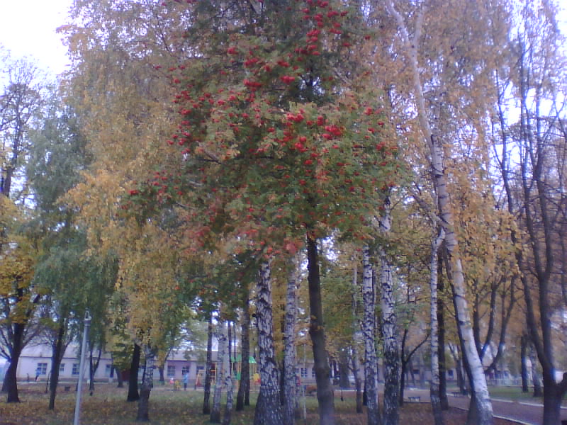 http://upforme.ru/uploads/001a/9f/a0/7/988858.jpg