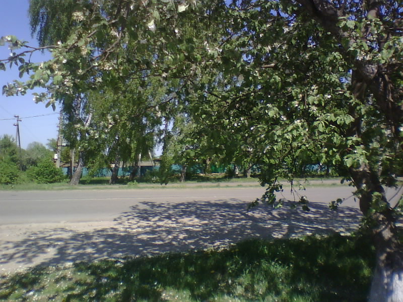 http://upforme.ru/uploads/001a/9f/a0/8/130248.jpg