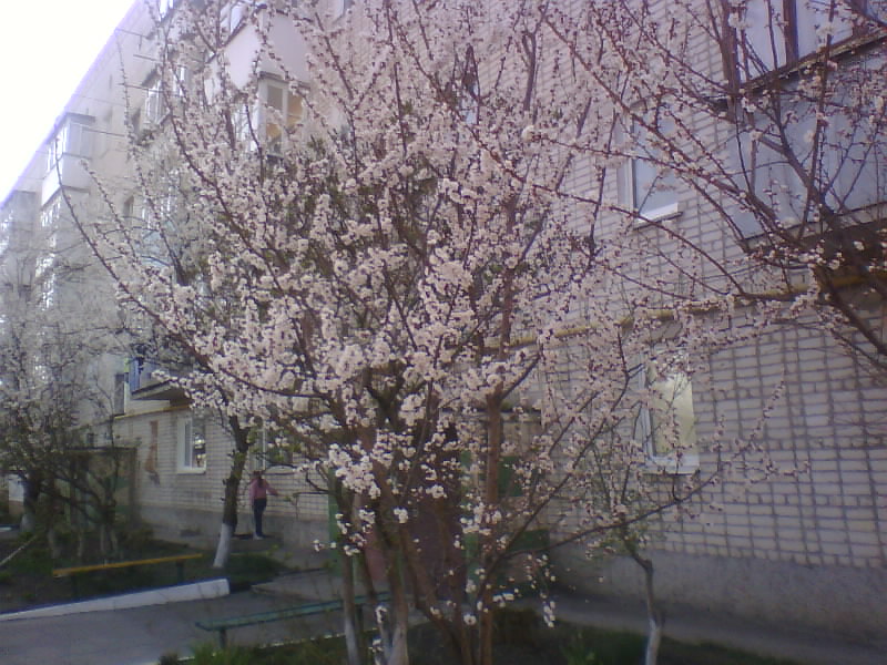 http://upforme.ru/uploads/001a/9f/a0/8/202333.jpg