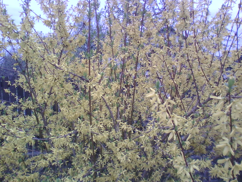http://upforme.ru/uploads/001a/9f/a0/8/237381.jpg