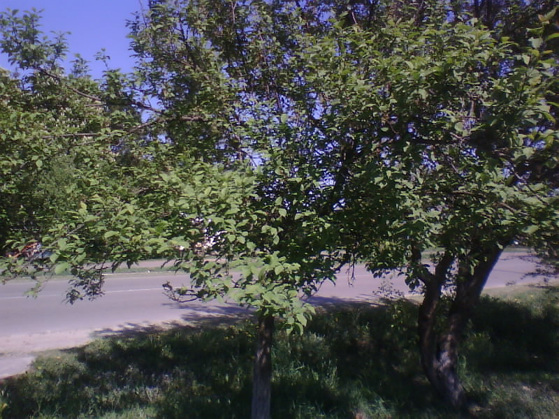 http://upforme.ru/uploads/001a/9f/a0/8/243921.jpg