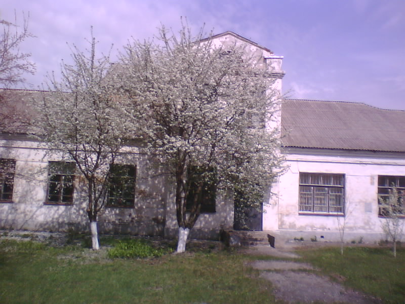 http://upforme.ru/uploads/001a/9f/a0/8/254049.jpg