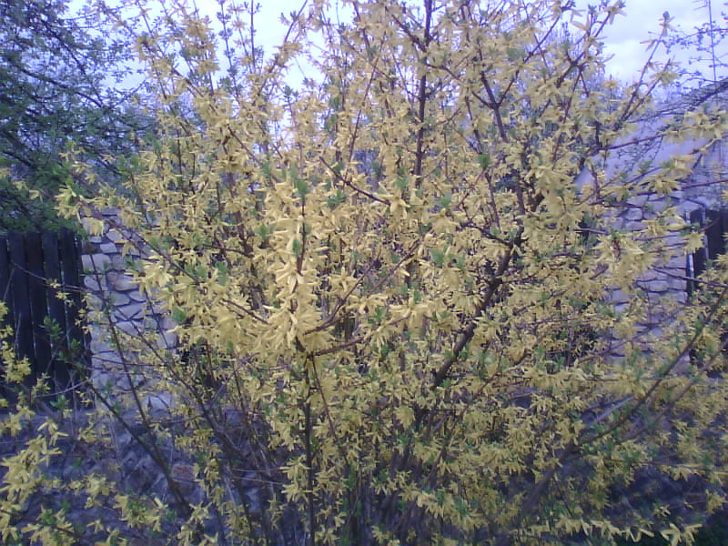 http://upforme.ru/uploads/001a/9f/a0/8/301344.jpg