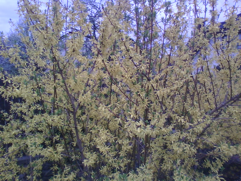 http://upforme.ru/uploads/001a/9f/a0/8/301363.jpg
