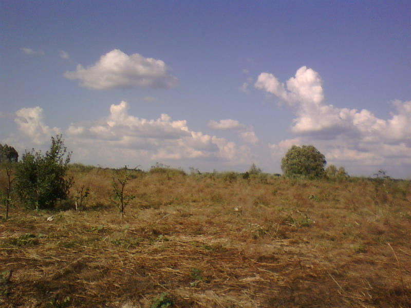 http://upforme.ru/uploads/001a/9f/a0/8/314357.jpg