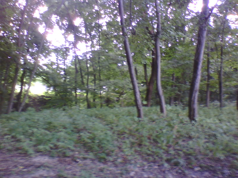 http://upforme.ru/uploads/001a/9f/a0/8/357442.jpg