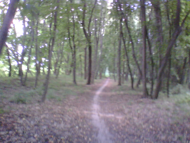 http://upforme.ru/uploads/001a/9f/a0/8/35940.jpg