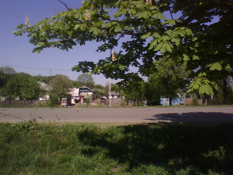 http://upforme.ru/uploads/001a/9f/a0/8/360027.jpg