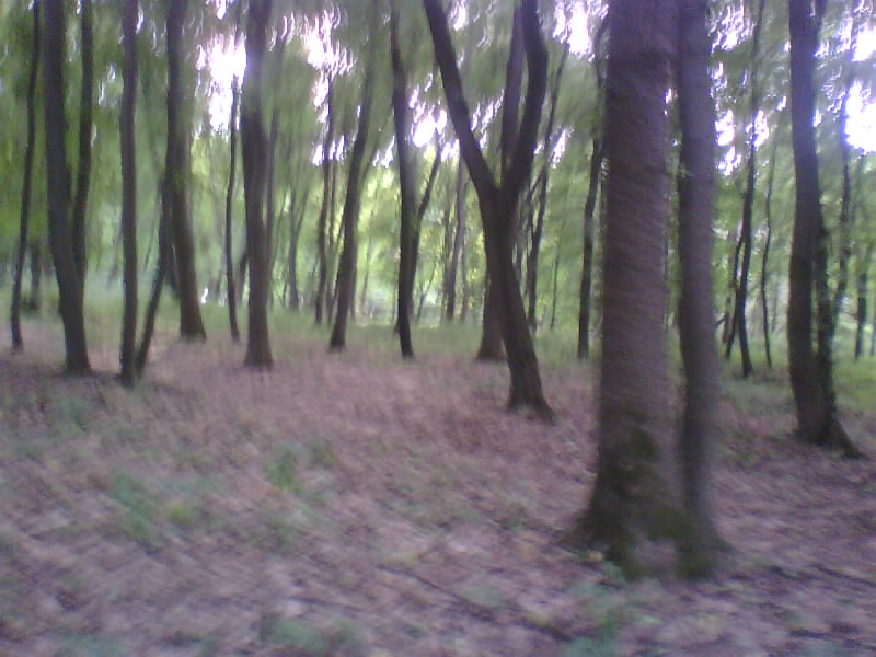 http://upforme.ru/uploads/001a/9f/a0/8/377587.jpg