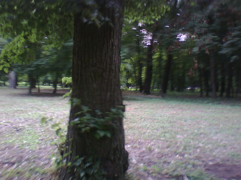 http://upforme.ru/uploads/001a/9f/a0/8/37821.jpg
