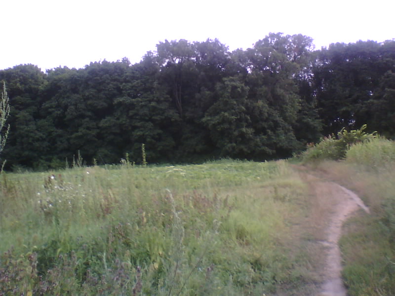 http://upforme.ru/uploads/001a/9f/a0/8/381947.jpg