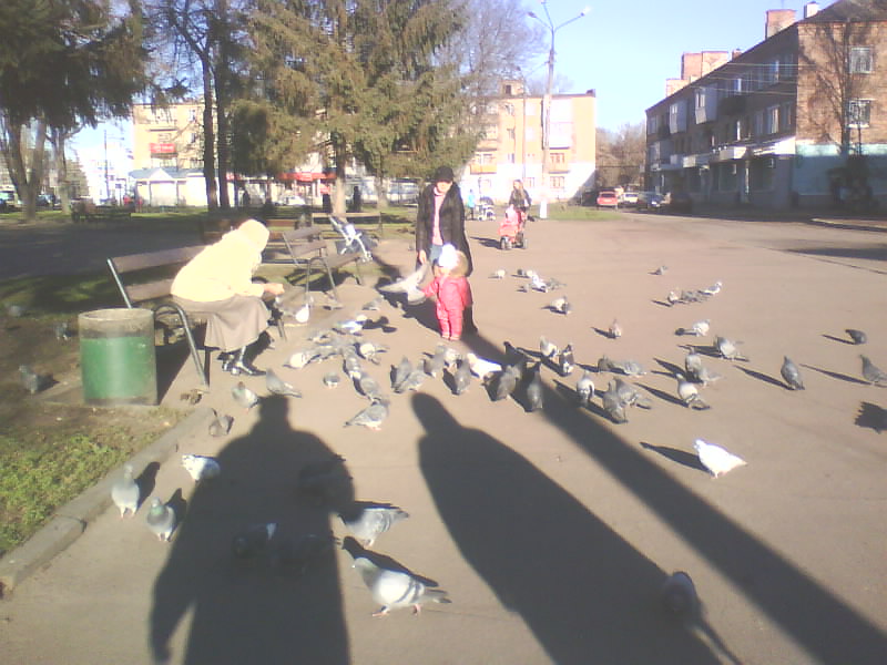 http://upforme.ru/uploads/001a/9f/a0/8/386829.jpg