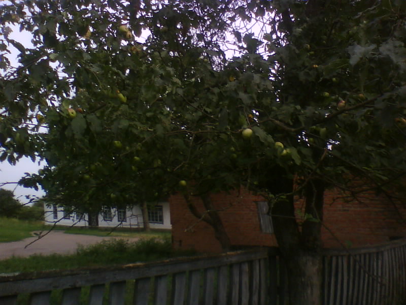 http://upforme.ru/uploads/001a/9f/a0/8/418579.jpg