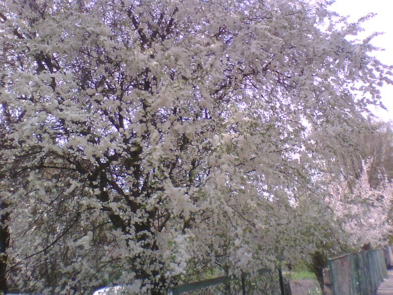 http://upforme.ru/uploads/001a/9f/a0/8/437643.jpg