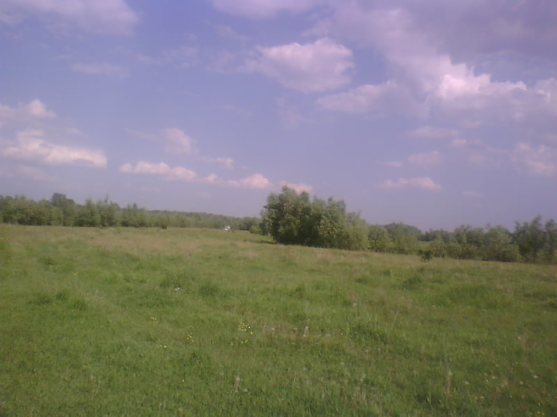 http://upforme.ru/uploads/001a/9f/a0/8/437789.jpg