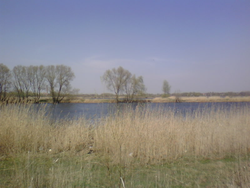 http://upforme.ru/uploads/001a/9f/a0/8/438930.jpg