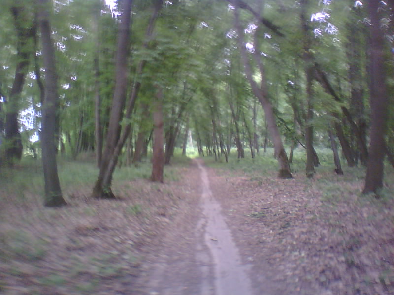 http://upforme.ru/uploads/001a/9f/a0/8/44648.jpg