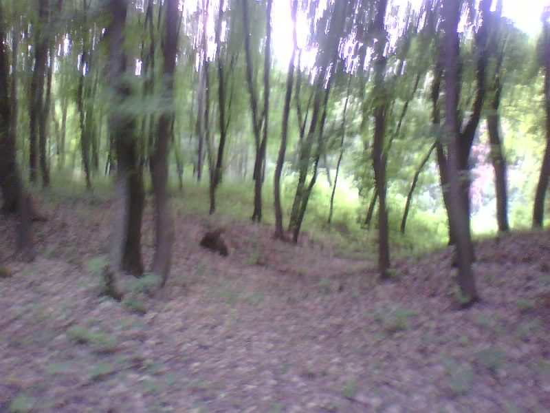http://upforme.ru/uploads/001a/9f/a0/8/450326.jpg