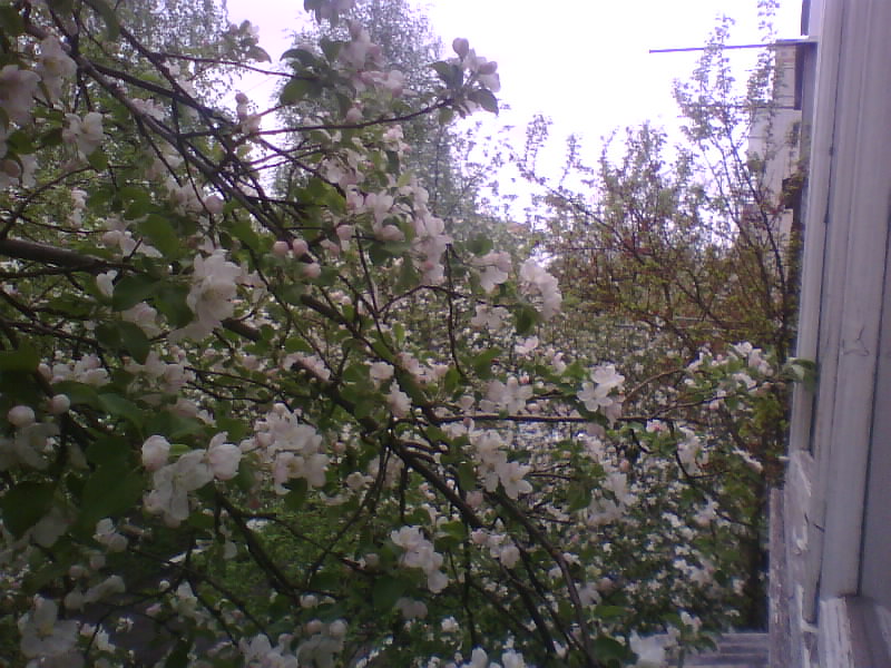 http://upforme.ru/uploads/001a/9f/a0/8/477090.jpg