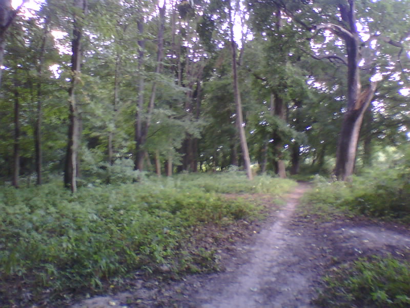 http://upforme.ru/uploads/001a/9f/a0/8/498599.jpg