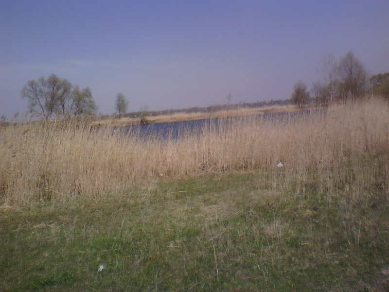 http://upforme.ru/uploads/001a/9f/a0/8/500790.jpg