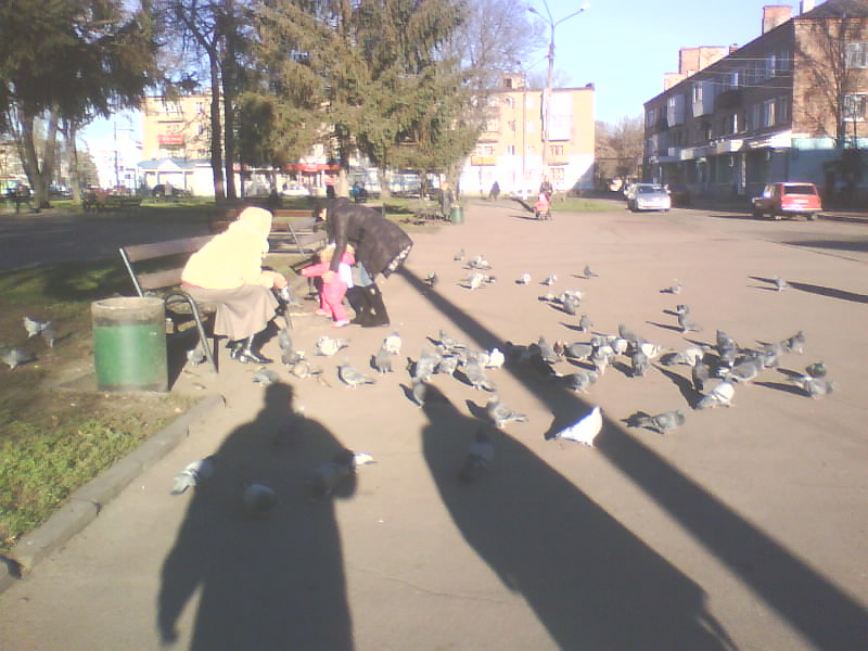http://upforme.ru/uploads/001a/9f/a0/8/504520.jpg