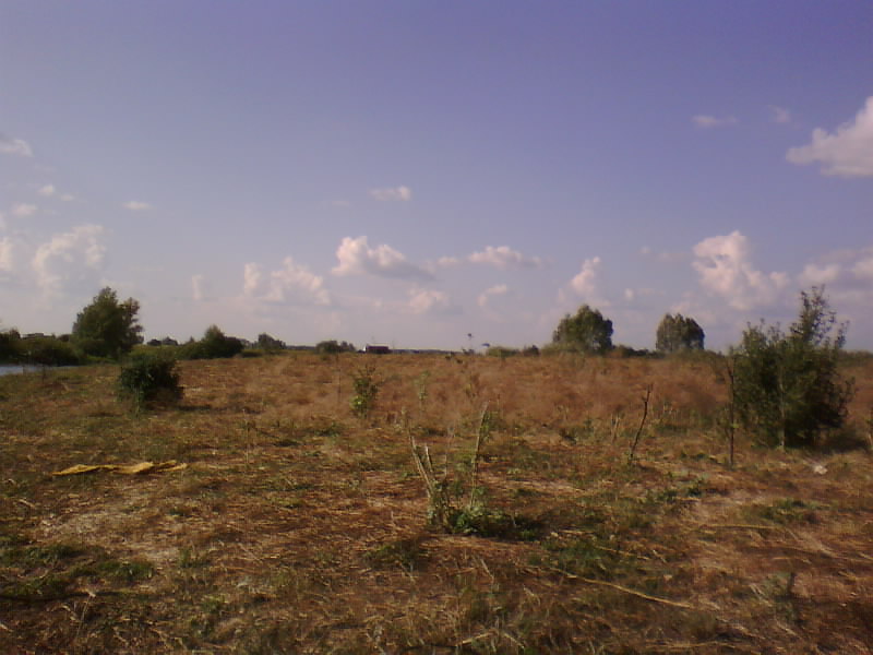 http://upforme.ru/uploads/001a/9f/a0/8/536763.jpg
