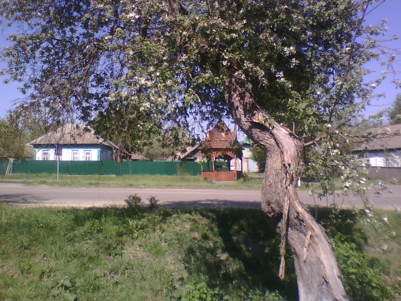 http://upforme.ru/uploads/001a/9f/a0/8/537926.jpg