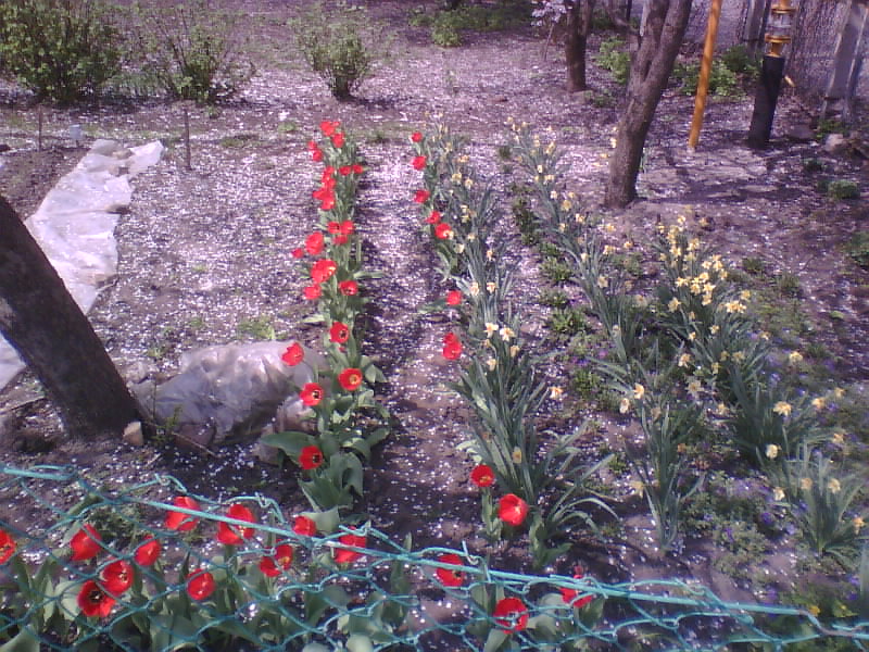 http://upforme.ru/uploads/001a/9f/a0/8/540673.jpg
