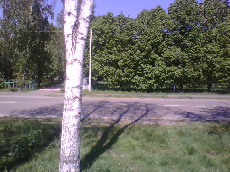 http://upforme.ru/uploads/001a/9f/a0/8/542739.jpg