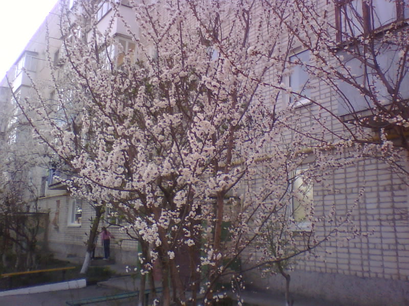 http://upforme.ru/uploads/001a/9f/a0/8/553783.jpg